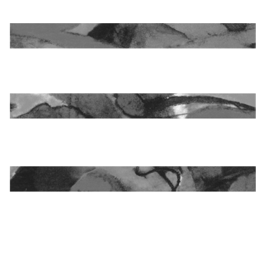 Logo Kammerdesign